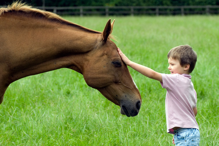 BoyPetsHorse_750x500