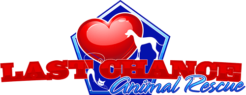 Last Chance Animal Rescue