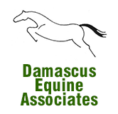 Damascus Equine Associates